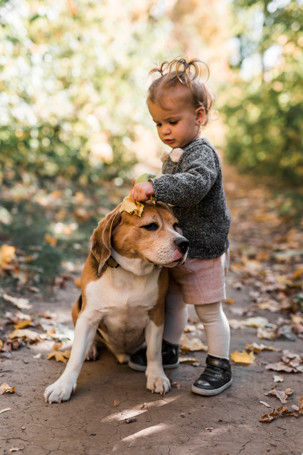 a baby touching a dog's head