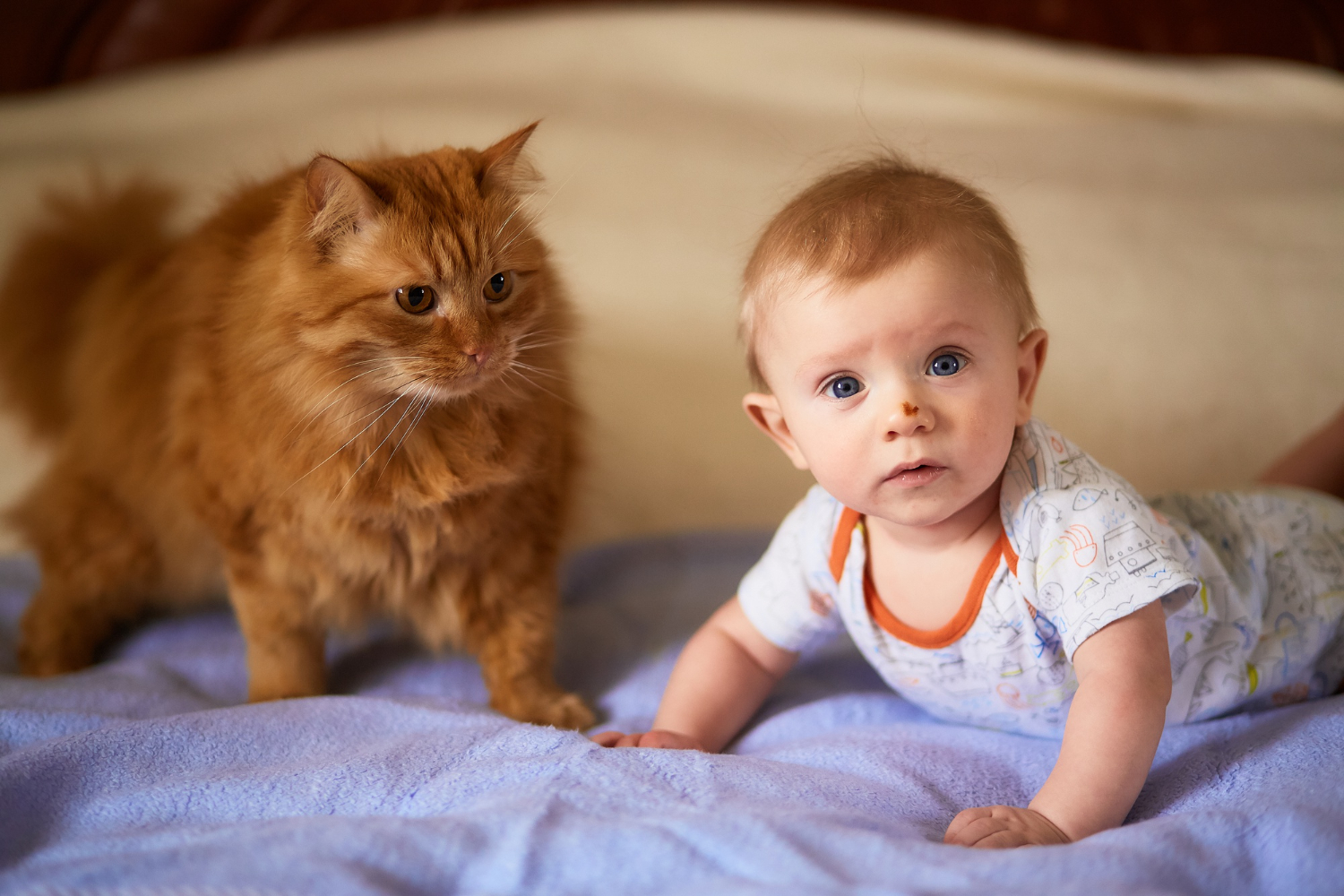 a baby lying down close to a cat